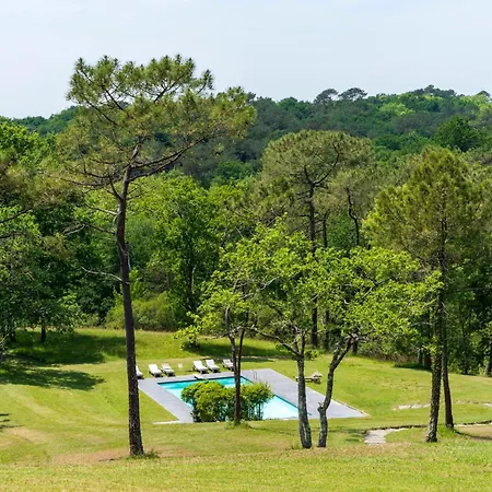 Espace, Luxe, Calme Et Nature Saint-Martin-de-Seignanx