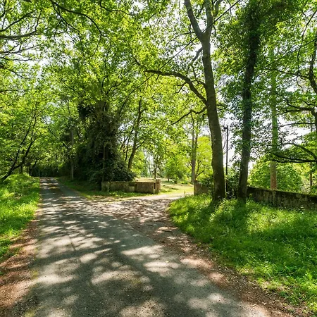Espace, Luxe, Calme Et Nature Saint-Martin-de-Seignanx
